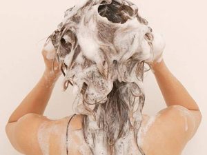 MODULO VI - Jardines en tu cabello. Cuidados esenciales y productos -  Aromaterapia  Profesional