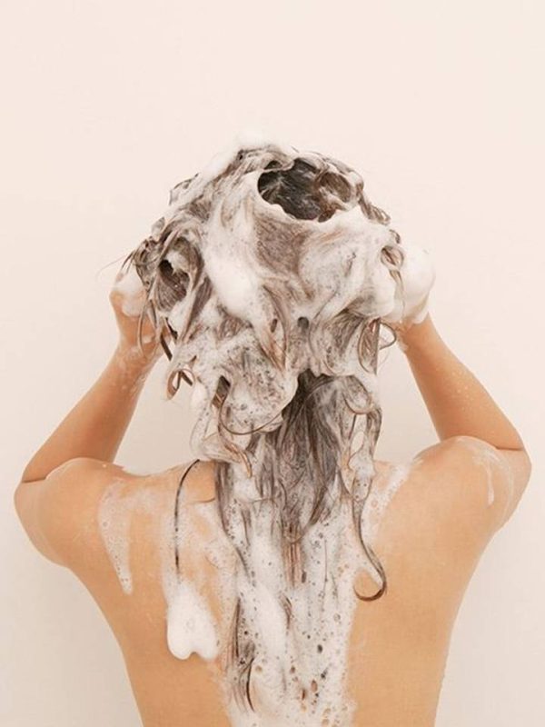 MODULO VI - Jardines en tu cabello. Cuidados esenciales y productos -  Aromaterapia  Profesional