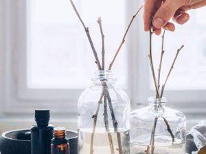 MODULO IX - Mi Hogar, el Edén -  Aromaterapia  Profesional