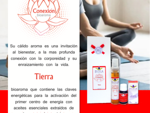 CONEXION - TIERRA