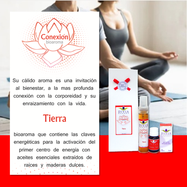 CONEXION - TIERRA