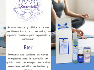CREATIVIDAD - ETER
