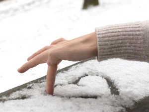 Meditación de Invierno - despedida
